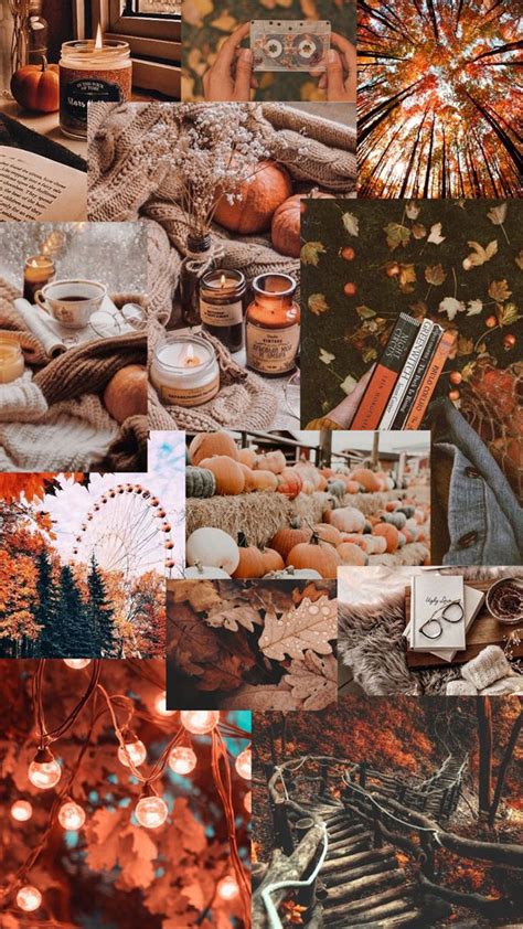 30 Cute Brown Aesthetic Wallpapers for Phone : Fall Aesthetic Wallpaper ...