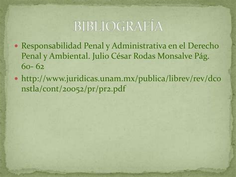 Principio De Proporcionalidad PPT