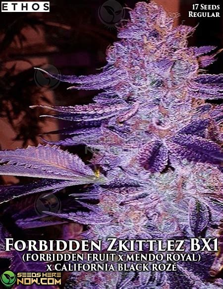 Order Forbidden Zkittlez Bx1 Regular Seeds Potent Flavor