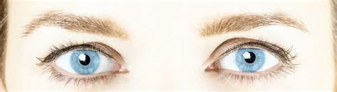 die anatomie ihres auges augen lasern augeaugede