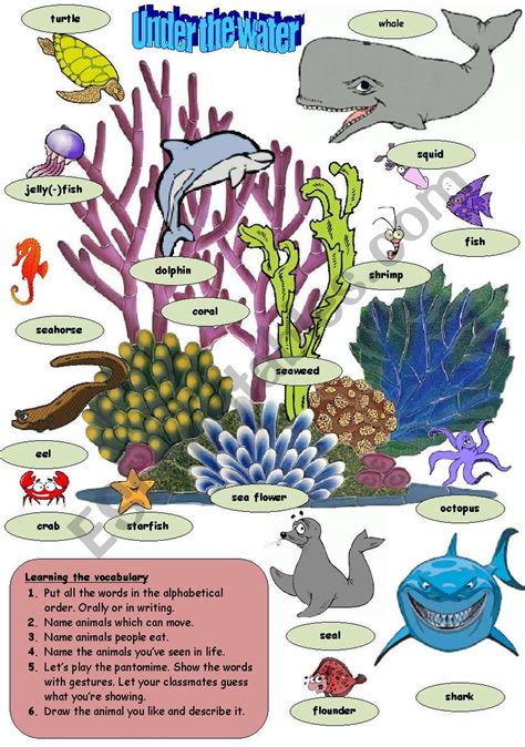 Sea Animals Esl Worksheet By Great Teacher Onizuka