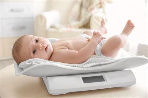 How To Choose A Baby Scale Types And Characteristics Baby Scales