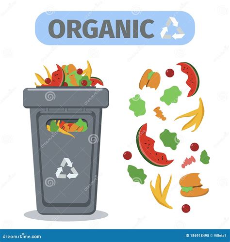 Recycling Garbage Bin For Organic Products Food Waste Container Stock