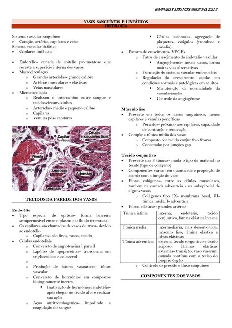 SOLUTION Histologia Sistema Linf Tico E Sangu Neo Studypool