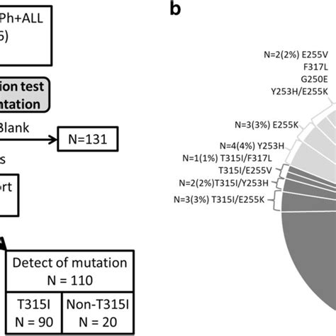 Subgroup analysis comparing the T315I mutation and no mutation cohorts ...