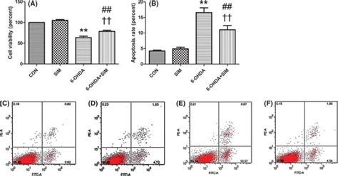 Simvastatin Protected Pc12 Cells Against 6 Ohda Neurotoxicity A The