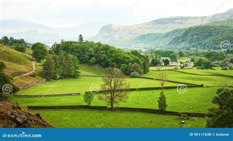 236 Beautiful English Countryside Spring Lake District Cumbria England