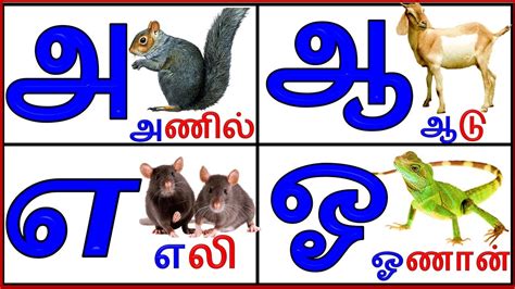 Uyir Ezhuthukal Learn Tamil Alphabets அ அமம ஆ ஆட அ ஆ இ ஈ