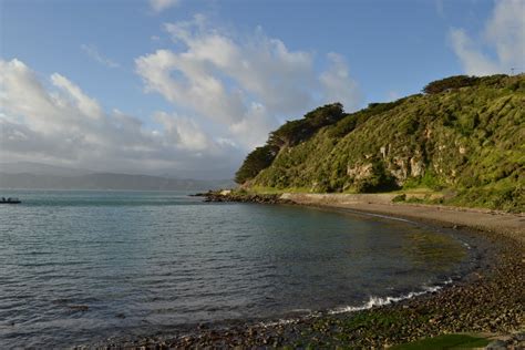 The Chilly Bin: Wellington Harbour