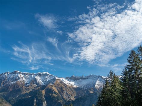 Tschingelhörner Blick auf den Piz Sardona den Piz Segnes Flickr