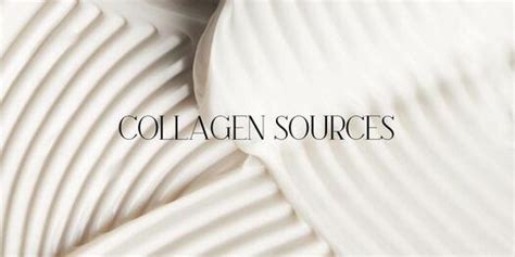 3 Main sources of collagen | Bespoke Skin Solutions