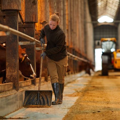 Agroécologie et inégalités de genre quelles perspectives féministes