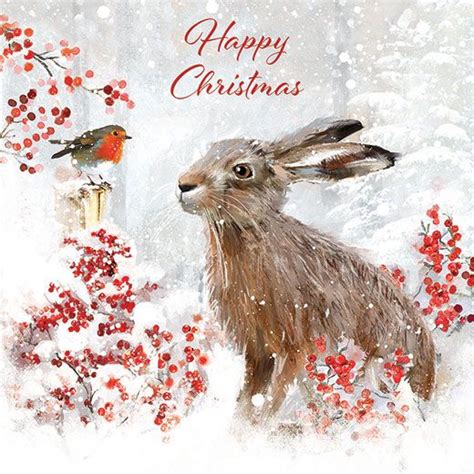 Charity Christmas Cards Actionaid Uk