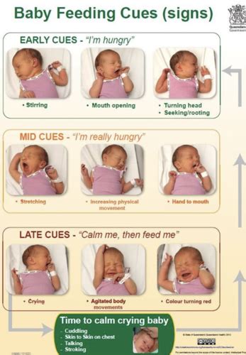 Breastfeeding Flashcards Quizlet