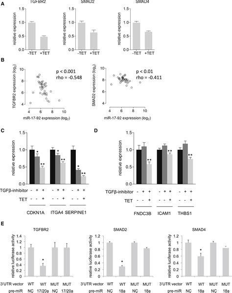 The Mir 17 92 Microrna Cluster Regulates Multiple Components Of The Tgf β Pathway In