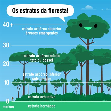 Árvore ser tecnológico As árvores de uma floresta estão distribuídas