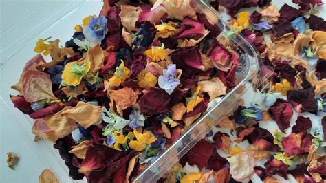 Dried Rose Petals Dried Pansies Natural Biodegradable