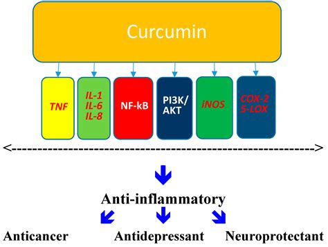 Molecules Free Full Text Relevance Of The Anti Inflammatory