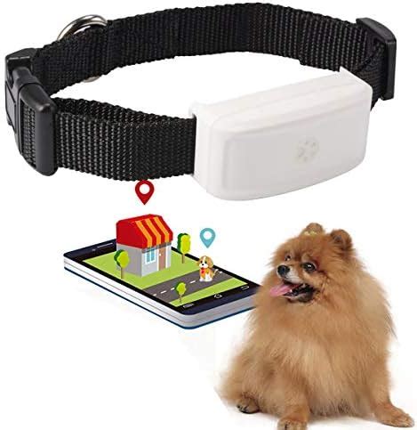 Localizador Gps Para Perros Y Gatos Tiempo Real Peque O Gps Tracker Con