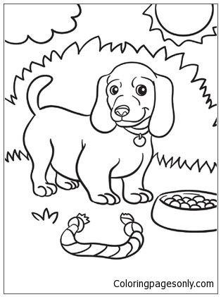 Weiner Dog Puppy Coloring Page - Free Printable Coloring Pages