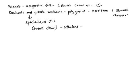 SOLVED Most Mammals Have A Monogastric Digestive System Which Means