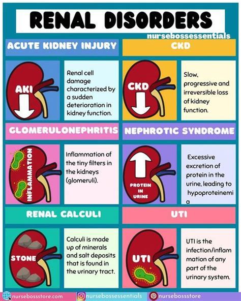 Dr Nurse Vicky Fiskvik Antwi On Instagram Renal Disorders