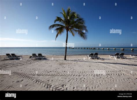 Higgs Beach, Key West, Florida Stock Photo - Alamy