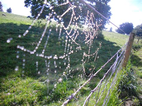 Replacing Silicon with Graphene – technology, an element of future cost