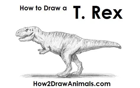 How To Draw A Tyrannosaurus Rex T Rex Video And Step By Step Picture