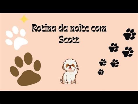 Rotina Da Noite Um Pouco Do Meu Banho YouTube