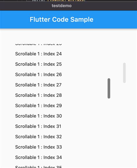 Scrollbar With Listview Shows Scrollbars Issue Flutter