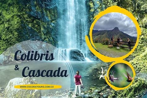 Trekking Casa De Los Colibr S Valle Del Cocora Y La Cascada Cocoratours