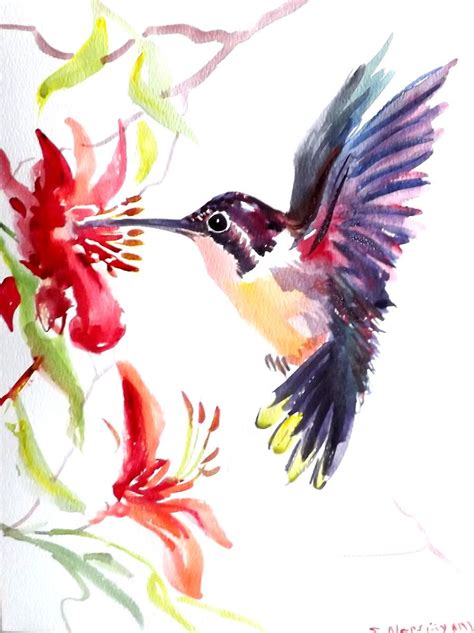 Hummingbird Original Watercolor Painting 12 X 9 In Por ORIGINALONLY