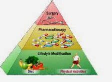 Obesity treatment drugs, Causes and Research Medication