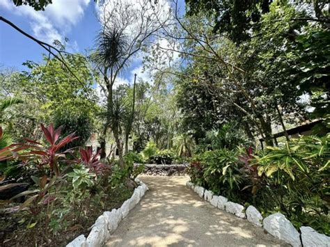 La Jornada Maya Quintana Roo Ana Ramírez Parque Kabah el espacio