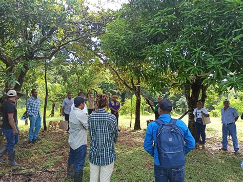 Productores Verag Enses Se Capacitan Sobre Pr Cticas De Manejo