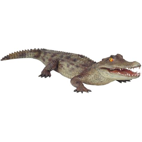 Cayman Alligator / 6.5 ft. Long : Life Size Statues, Fiberglass statues ...