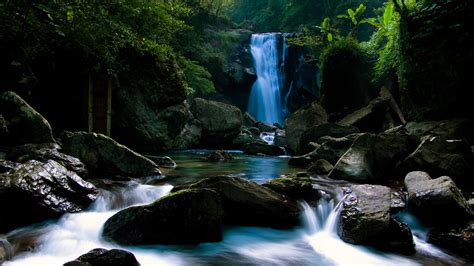 Beautiful Waterfall On Rocks Pouring On River Stones Banana Trees Hd Nature Wallpapers Hd