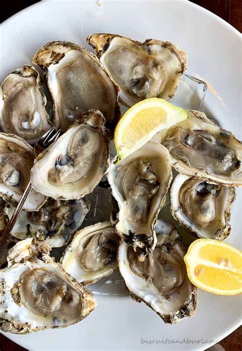 Oyster Farm to Raw Bar: Oysters in the South Carolina Lowcountry