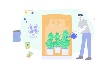 grow weed indoors list  essentials