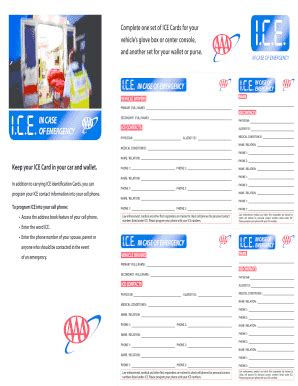 Ice Card - Fill Online, Printable, Fillable, Blank | pdfFiller