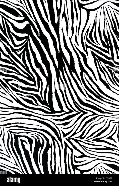 Zebra Fabric Texture Hi Res Stock Photography And Images Alamy