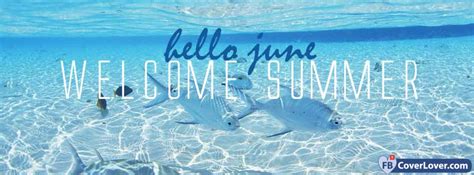 Hello June Welcome Summer Seasonal Facebook Cover