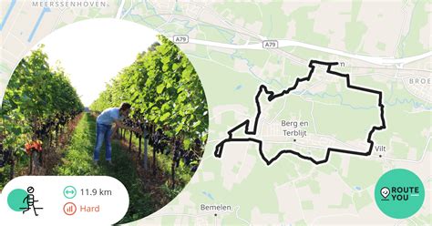 Wandelroute Vi Valkenburg Aan De Geul Route Des Vins Berg En