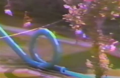 Action Park documentary picked up by HBO Max