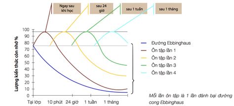 ĐƯỜNG CONG LÃNG QUÊN EBBINGHAUS ~ Thầy Thanh Dạy Toán