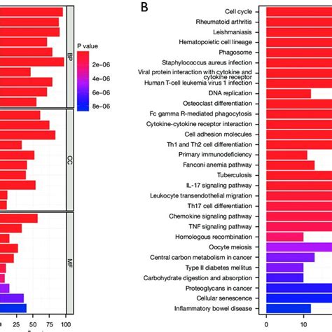 Functional Enrichment Analysis A BP CC And MF Enrichment Through