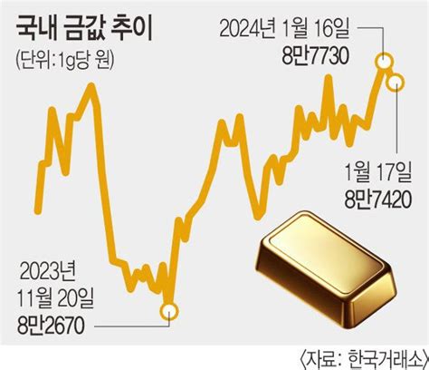 금값 역대 최고치전망도 더 오른다 네이트 뉴스