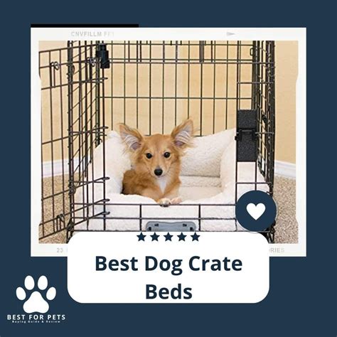 The 8 Best Dog Crate Beds - BestForPets.org