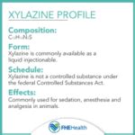 Xylazine The Veterinary Sedative With Human Risks Fhe Health